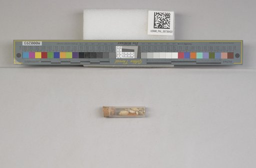 NSF ADBC EPICC TCN