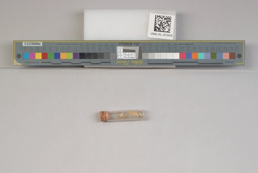 NSF ADBC EPICC TCN