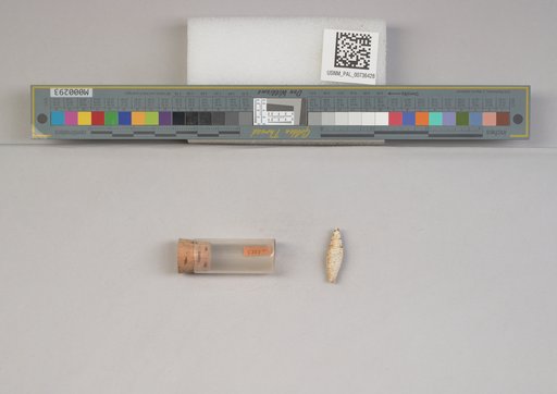 NSF ADBC EPICC TCN