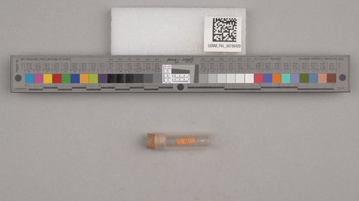 NSF ADBC EPICC TCN