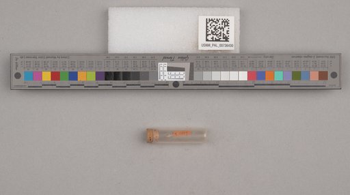 NSF ADBC EPICC TCN