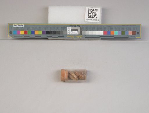 NSF ADBC EPICC TCN