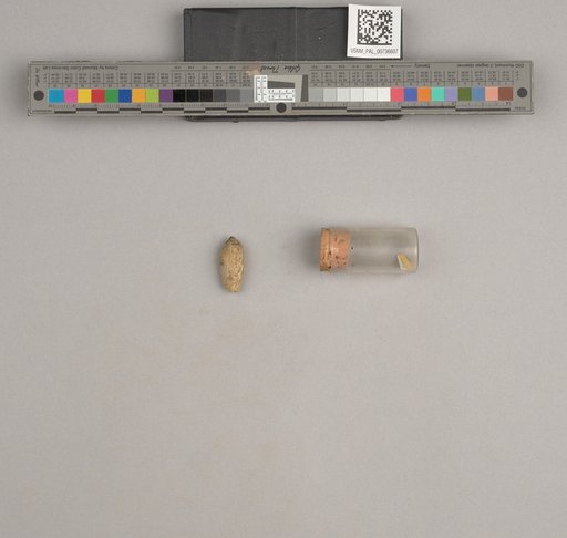 NSF ADBC EPICC TCN