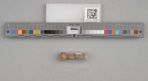 NSF ADBC EPICC TCN