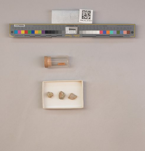 NSF ADBC EPICC TCN