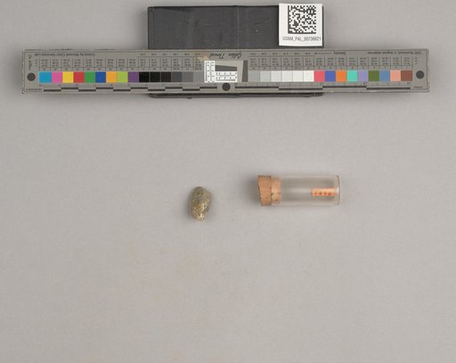 NSF ADBC EPICC TCN