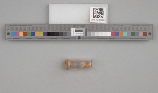 NSF ADBC EPICC TCN