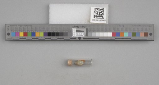 NSF ADBC EPICC TCN