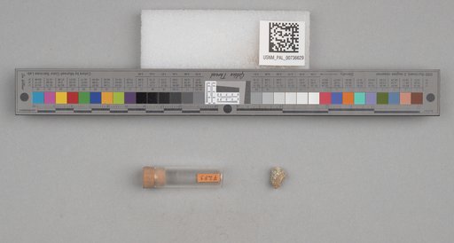 NSF ADBC EPICC TCN