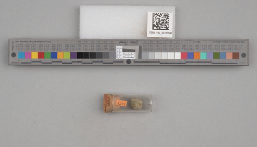 NSF ADBC EPICC TCN