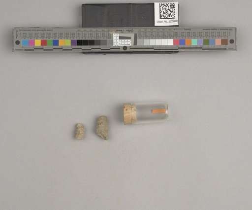 NSF ADBC EPICC TCN