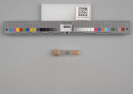 NSF ADBC EPICC TCN