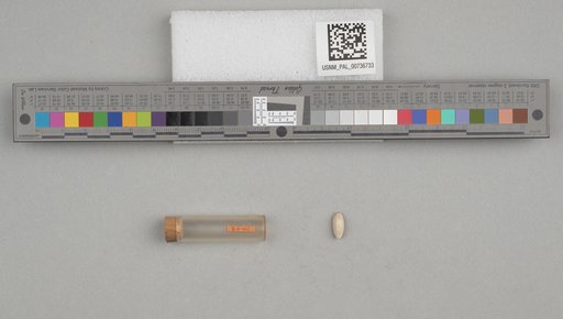 NSF ADBC EPICC TCN