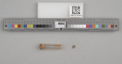 NSF ADBC EPICC TCN