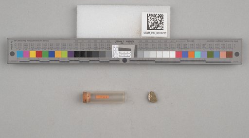 NSF ADBC EPICC TCN