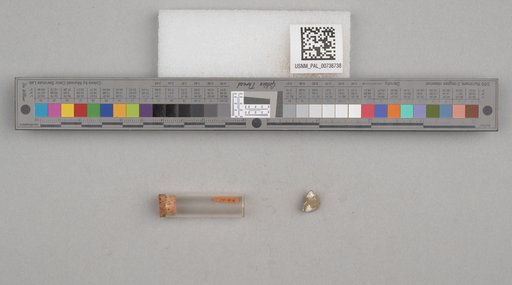 NSF ADBC EPICC TCN