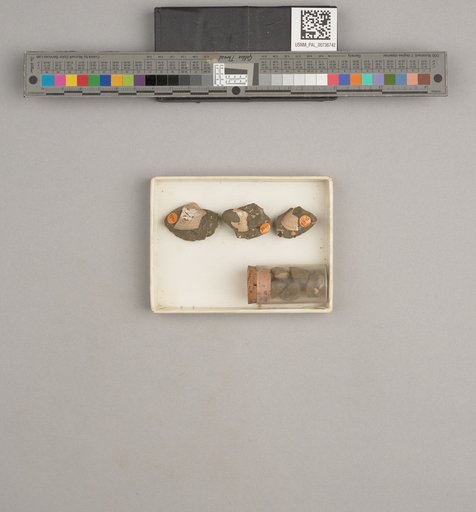 NSF ADBC EPICC TCN