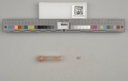 NSF ADBC EPICC TCN