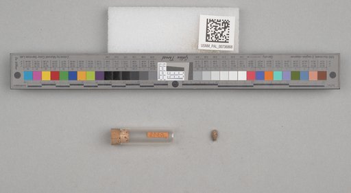 NSF ADBC EPICC TCN