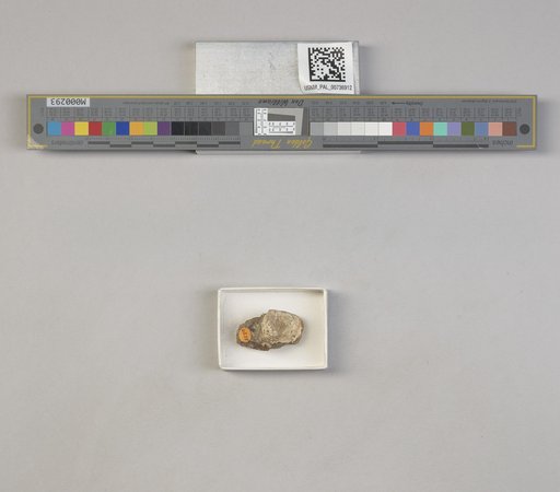 NSF ADBC EPICC TCN