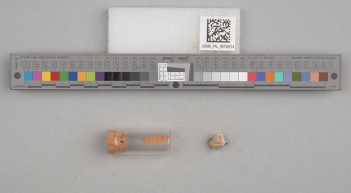 NSF ADBC EPICC TCN