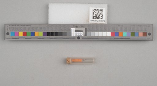 NSF ADBC EPICC TCN