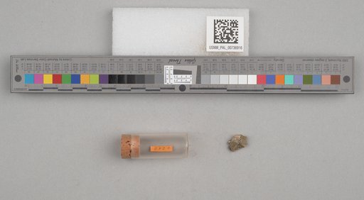 NSF ADBC EPICC TCN