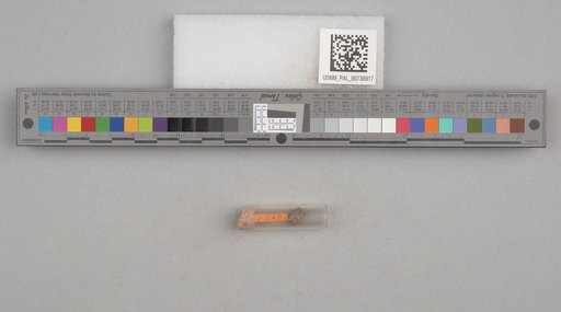 NSF ADBC EPICC TCN