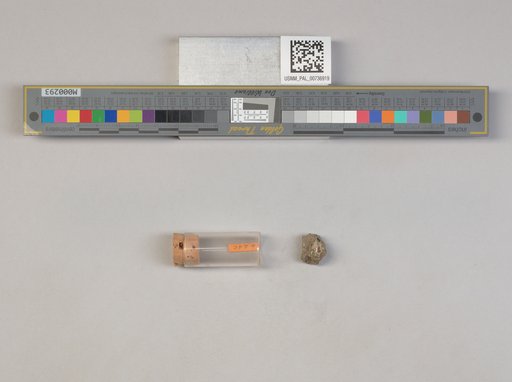 NSF ADBC EPICC TCN
