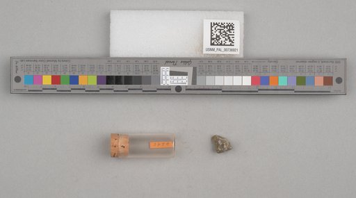 NSF ADBC EPICC TCN
