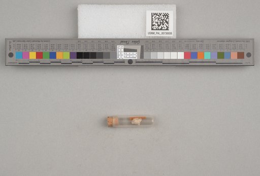 NSF ADBC EPICC TCN