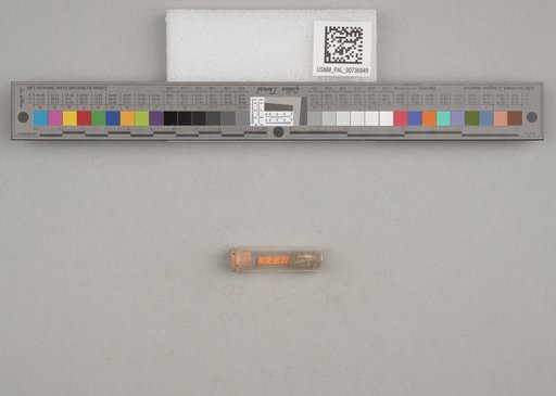 NSF ADBC EPICC TCN