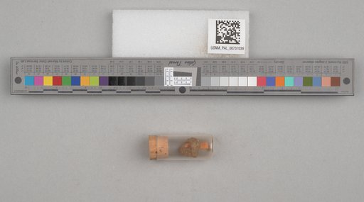 NSF ADBC EPICC TCN