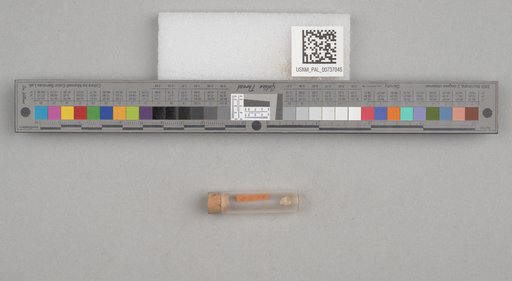 NSF ADBC EPICC TCN