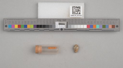 NSF ADBC EPICC TCN