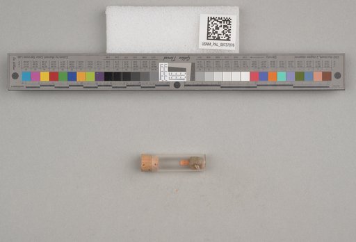 NSF ADBC EPICC TCN
