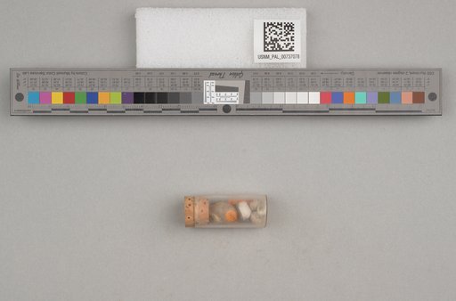 NSF ADBC EPICC TCN