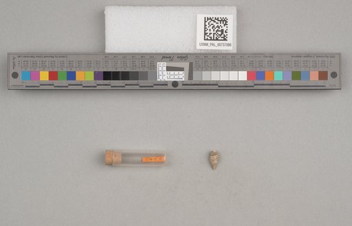 NSF ADBC EPICC TCN