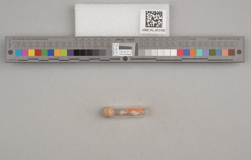NSF ADBC EPICC TCN