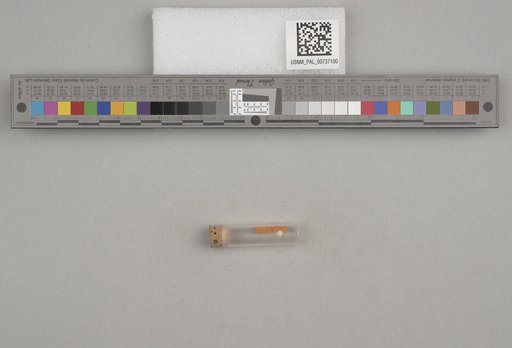 NSF ADBC EPICC TCN