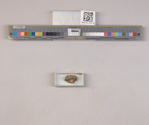 NSF ADBC EPICC TCN