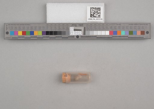NSF ADBC EPICC TCN