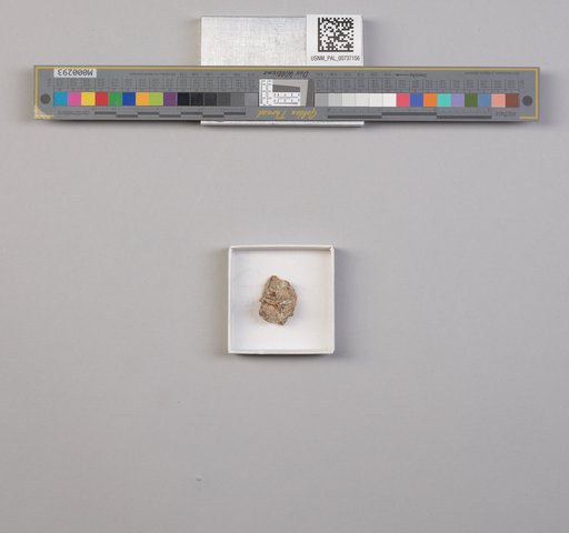 NSF ADBC EPICC TCN