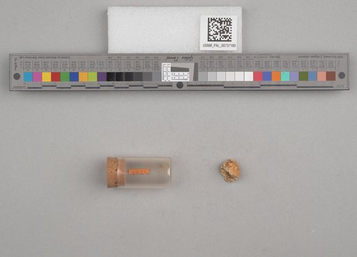 NSF ADBC EPICC TCN