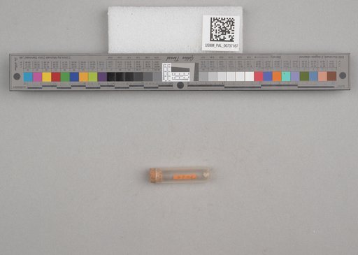 NSF ADBC EPICC TCN
