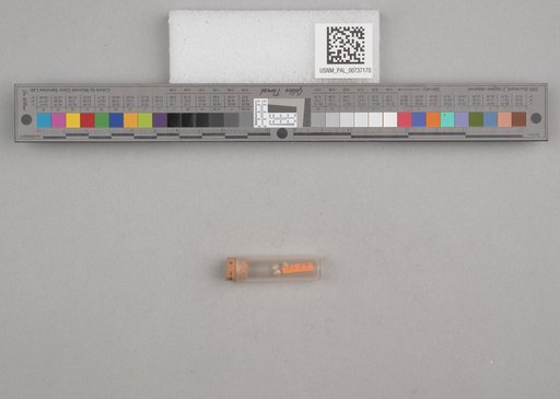 NSF ADBC EPICC TCN