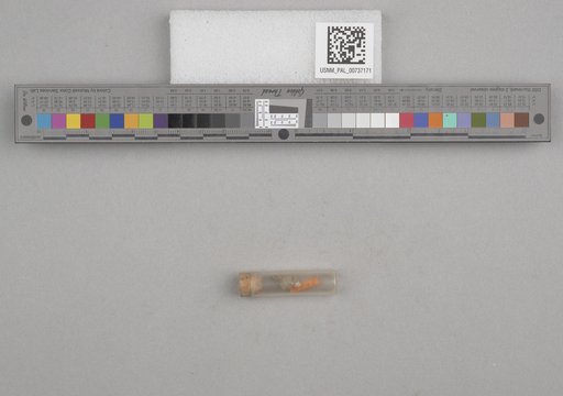 NSF ADBC EPICC TCN