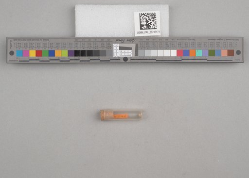 NSF ADBC EPICC TCN