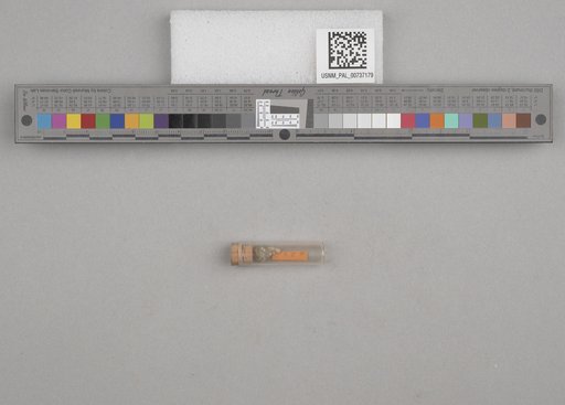NSF ADBC EPICC TCN