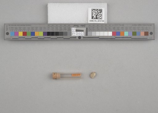 NSF ADBC EPICC TCN